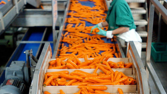 World Bank funds $250m to boost Morocco’s climate-smart agrifood sector