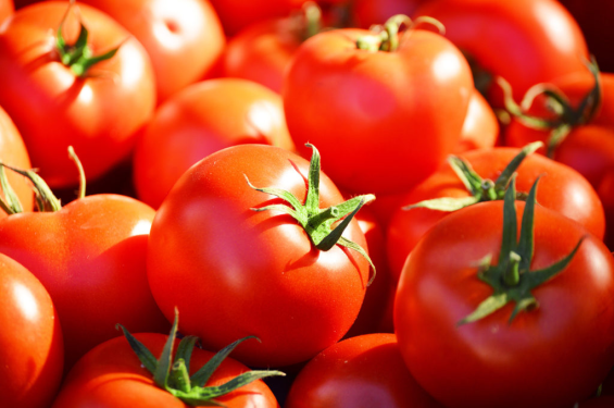 Moroccan tomato shipment to Russia quarantined over viral contamination