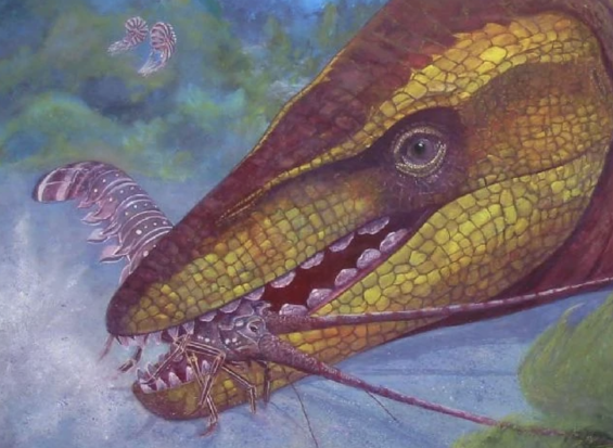 Maroc : Découverte d’un ancien reptile marin unique doté de dents en forme de quille