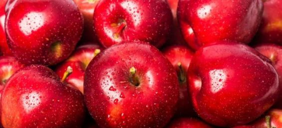 Morocco imports $65 million worth of apples in 2024, a 50% rise since 2020