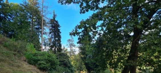 Moroccan man with dementia found dead after days missing in the Netherlands