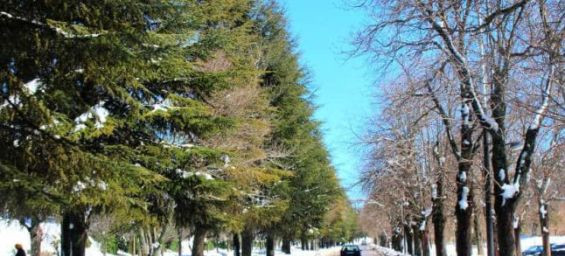Cold snap and snowfall in Morocco from Wednesday to Saturday