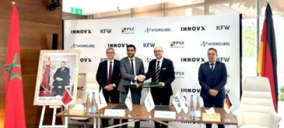 German fund backs 100,000-ton green ammonia project in Morocco