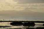 Nador : L'ONEE dément la pollution volontaire du lac Marchica