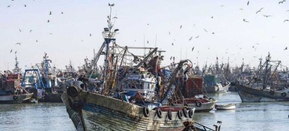 Russia submits draft order to government for new four-year fishing deal with Morocco