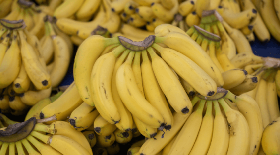 Morocco’s banana imports surge amid declining local production