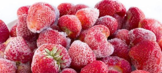 Morocco sets record for frozen strawberry exports to Japan