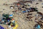 Pollution des plages : A Casablanca, la sensibilisation impuissante face à l'incivisme [Interview]