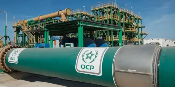 Moroccan phosphate giant OCP reports 21.6 billion dirhams in Q1 2025 revenue