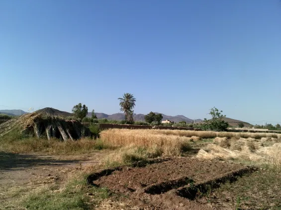Morocco and UK researchers develop new tool for semi-arid land management in Morocco