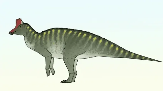 Morocco adds a new duckbill dinosaur to its roster with the discovery of Taleta taleta