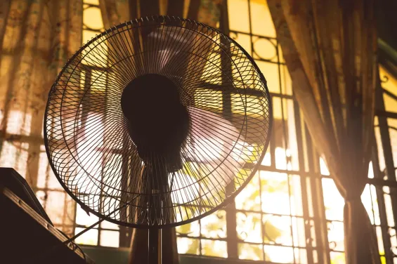 As Morocco goes through a heatwave, how can it affect mental health ?