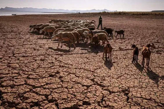 Morocco faces extreme water scarcity by 2050 warns UN report