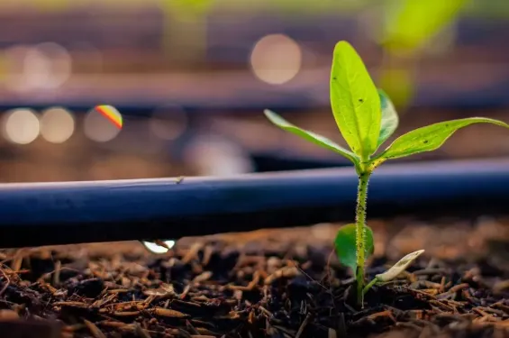 OCP signs two MoUs to turn captured CO₂ into sustainable water and agriculture solutions