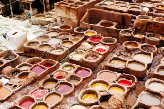 Inside Morocco’s historic leather tanneries, the hidden health toll on workers
