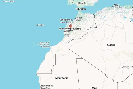 Google denies changing how the Sahara appears on Maps after UN resolution