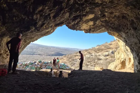 Essaouira : New excavations in Bizmoun cave reveal 150,000-year-old tools and extinct fauna