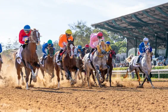 The 11th edition of the International Racing Meeting (MIM), organized by SOREC on November 22nd and 23rd in Casablanca. / Ph. SOREC