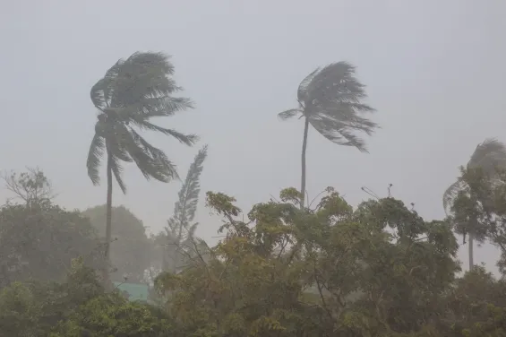 Strong wind gusts expected Friday in Morocco