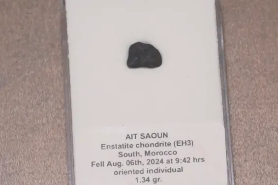 Rare Aït Saoun meteorite from Morocco joins Moscow University exhibit