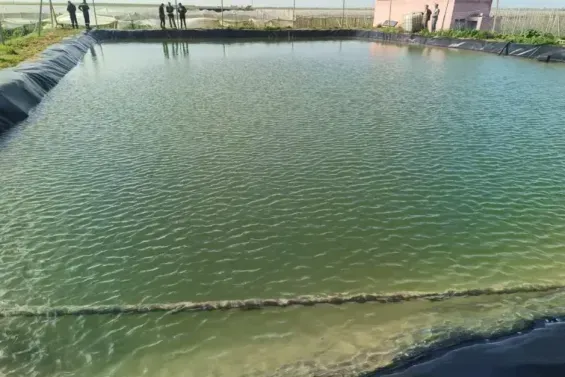 Body of missing young man found in water basin near Sidi Bennour
