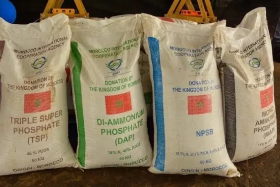 US considers Morocco as fertilizer supply option amid Iran war disruption