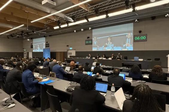 Morocco's Amina Bouayach chairs African Migration Group meeting in Geneva