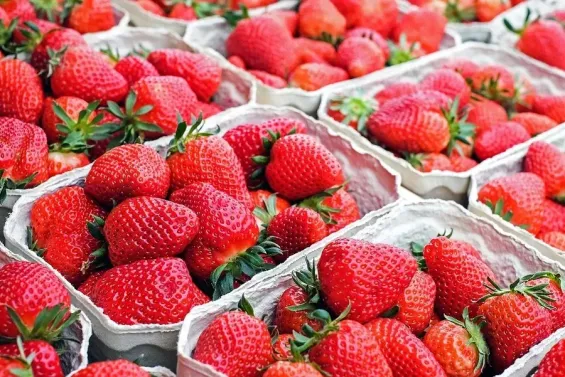 Europe: Soft fruit shortage driven by supply issues in Morocco