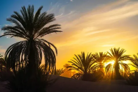 Why Morocco has become hotter and drier since 1980