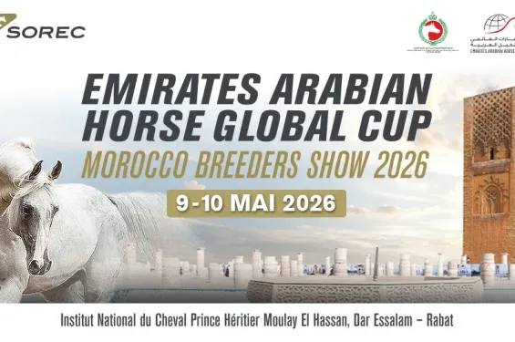 Rabat to host the Morocco Breeders Show 2026 this weekend