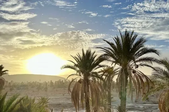 Heatwave of up to 44°C expected in Morocco from Monday to Wednesday