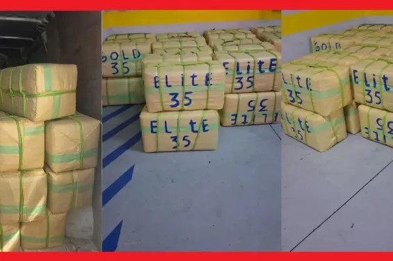 Morocco foils drug trafficking attempt, seizes 2.96 tonnes of chira