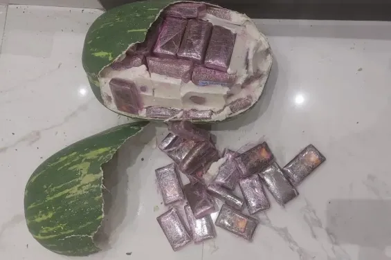 Fake watermelons used to conceal 700 kg of hashish in Morocco
