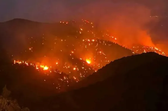Forest fire rages in Morocco's Taroudant province