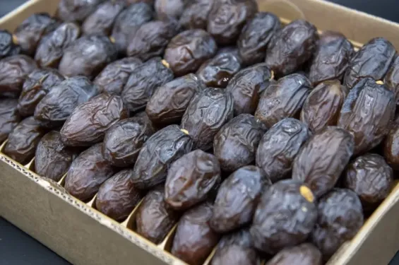 Morocco's date exports to Germany hit record high