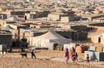 Sahara: Des ONG fustigent l'offre du Polisario de «réparer» ses victimes