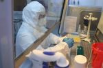 Coronavirus : Le Maroc enregistre un nouveau décès, une guérison et 27 nouvelles infections