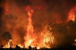 Taza : Les efforts se poursuivent pour maîtriser le feu de forêt à Maghraoua