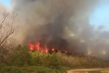 Tanger : Un suspect arrêté pour incendie volontaire dans la forêt de Houara