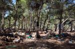 Nador : 15 migrants arrêtés dans la forêt de Gourougou