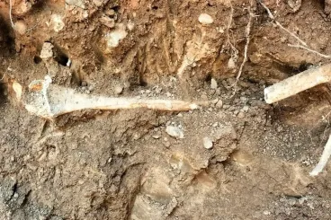 العثور على رفات بشرية داخل فندق بمراكش