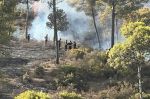 Feux de forêts : Des incendies déclarés à Tétouan, celui de Benslimane maîtrisé