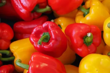 Morocco exports record 50,000 tons of sweet peppers to Germany