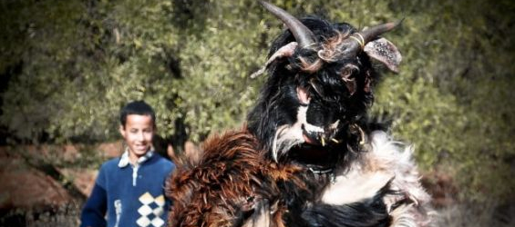 Bujloud, an ancient tradition or a modern controversy ?