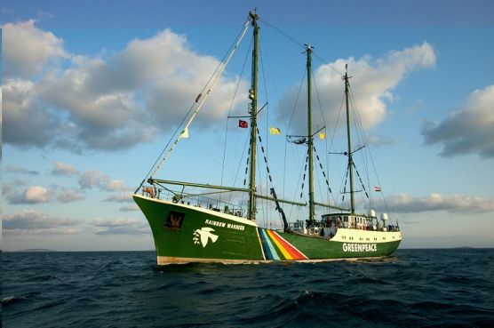 Le Rainbow Warrior de Greenpeace. / DR