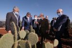 Recherche agricole : Le Maroc identifie huit variétés de cactus résistantes à la cochenille