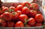 L'Europe nie toute falsification de l'origine des légumes et fruits importés du Maroc
