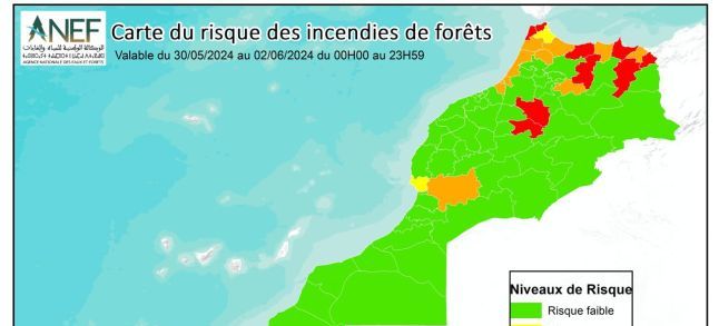 L'ANEF annonce un risque élevé d'incendies de forêts dans le Nord du Maroc