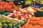 Les importations espagnoles de fruits et légumes marocains en hausse de 18,73% à fin septembre