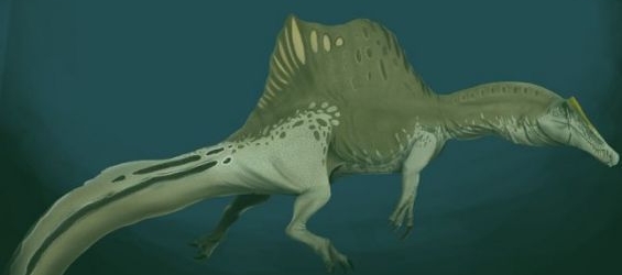 Spinosaurus. / Ph. Gustavo Monroy-Becerril